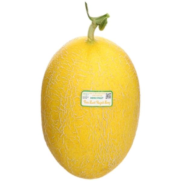 Dưa lưới Huỳnh Long trái 1.4kg-1.6kg